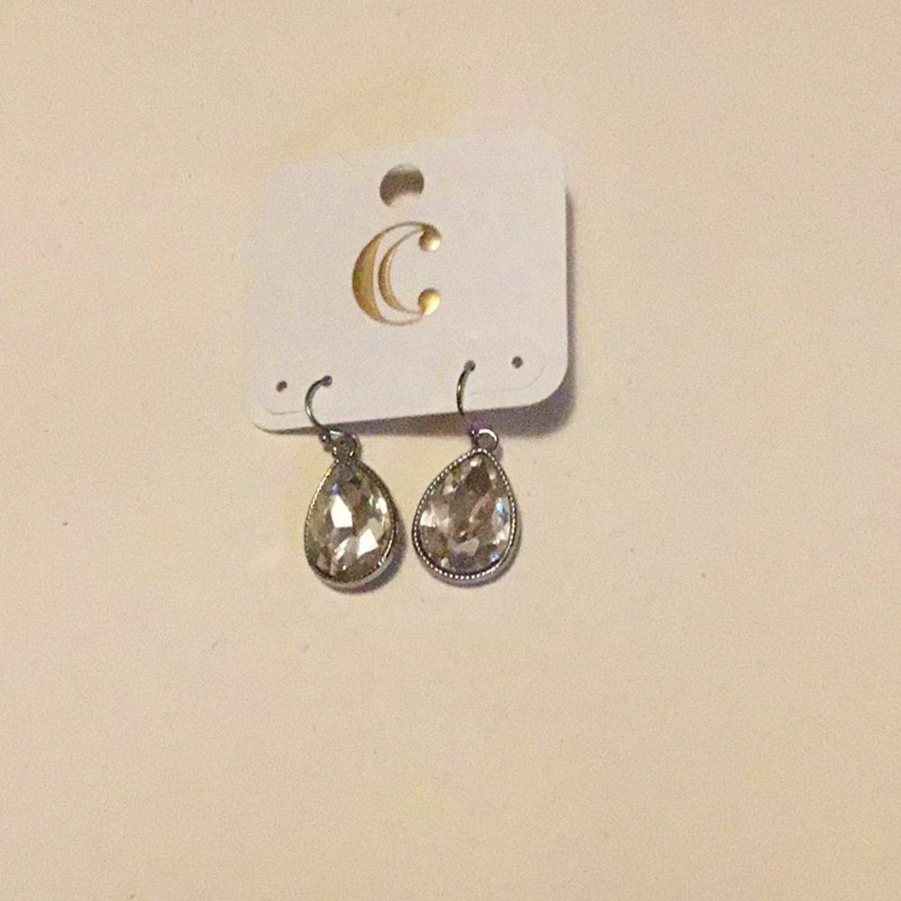 Brand New Charming Charlie earrings